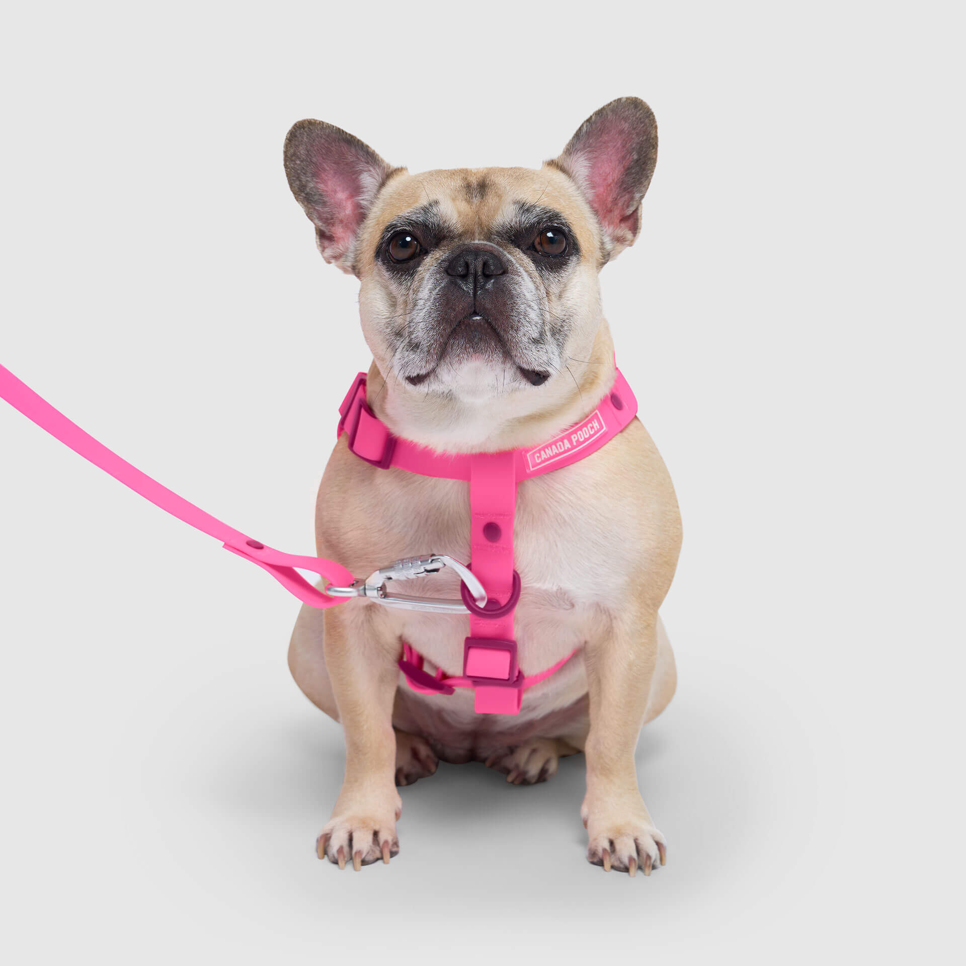 Waterproof Harness - 4IKT