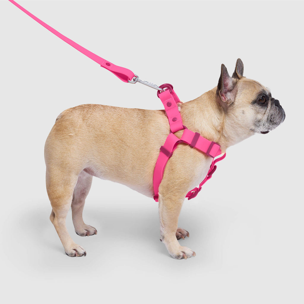 Waterproof Harness - 4IKT