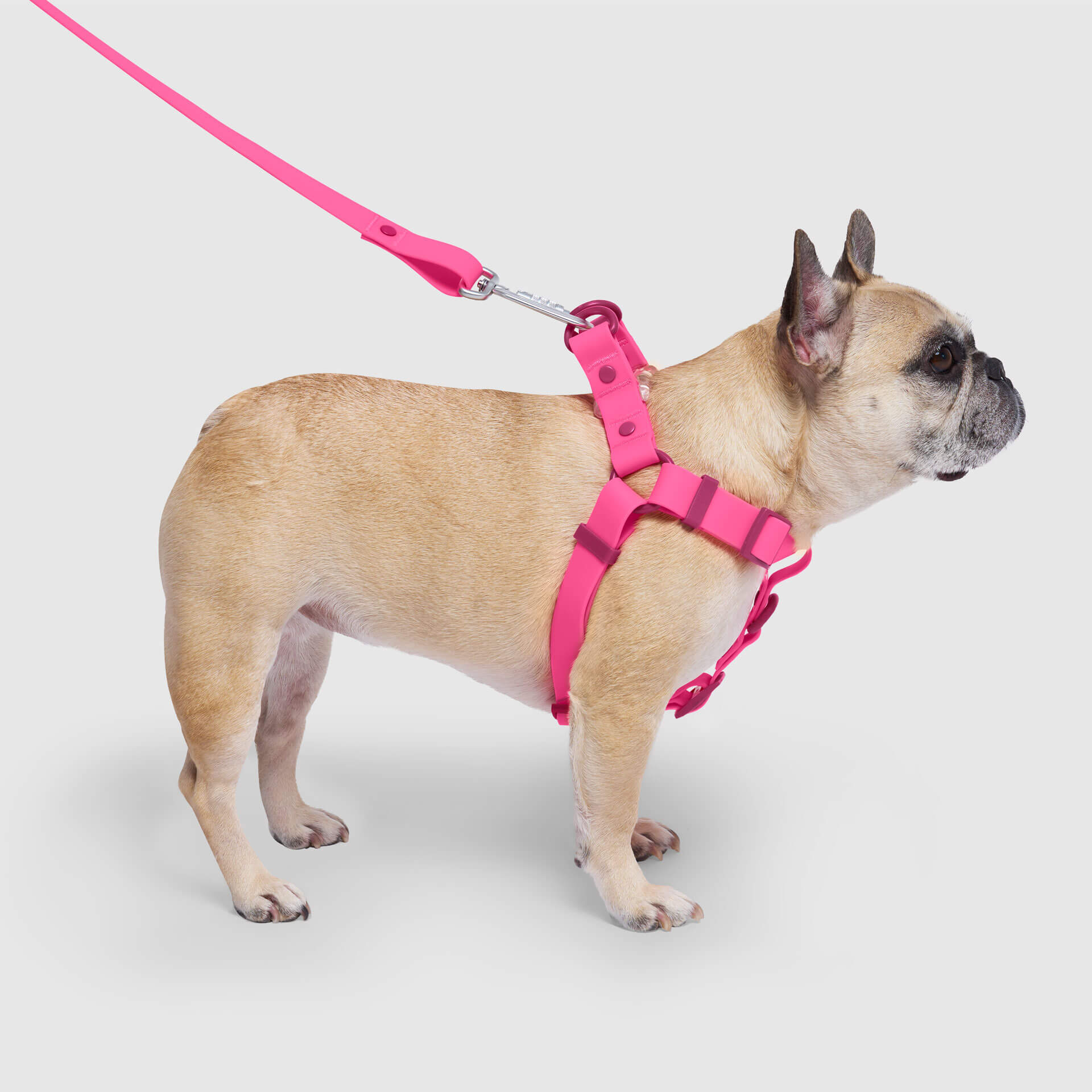 Waterproof Harness - 4IKT