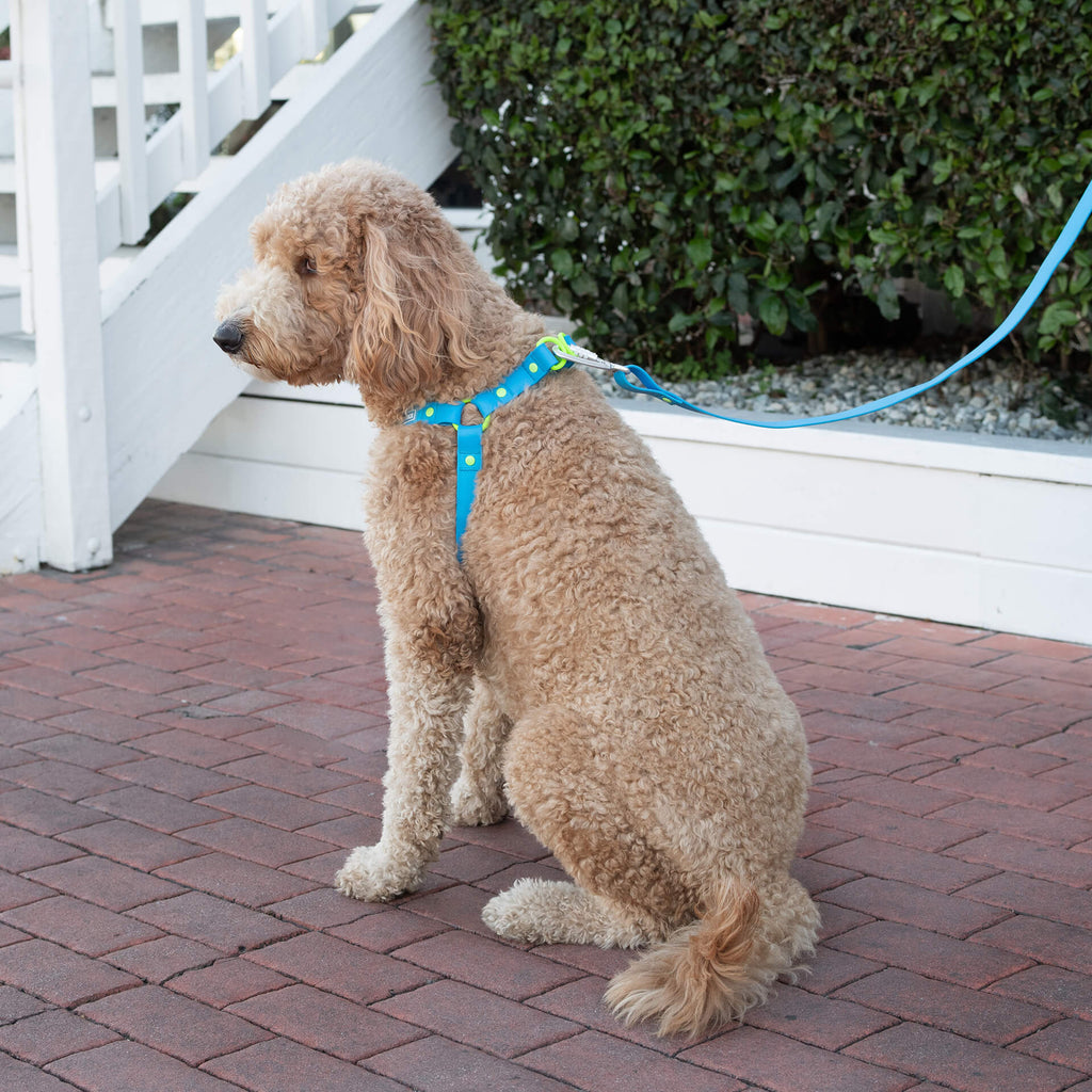 Waterproof Harness - 4IKT