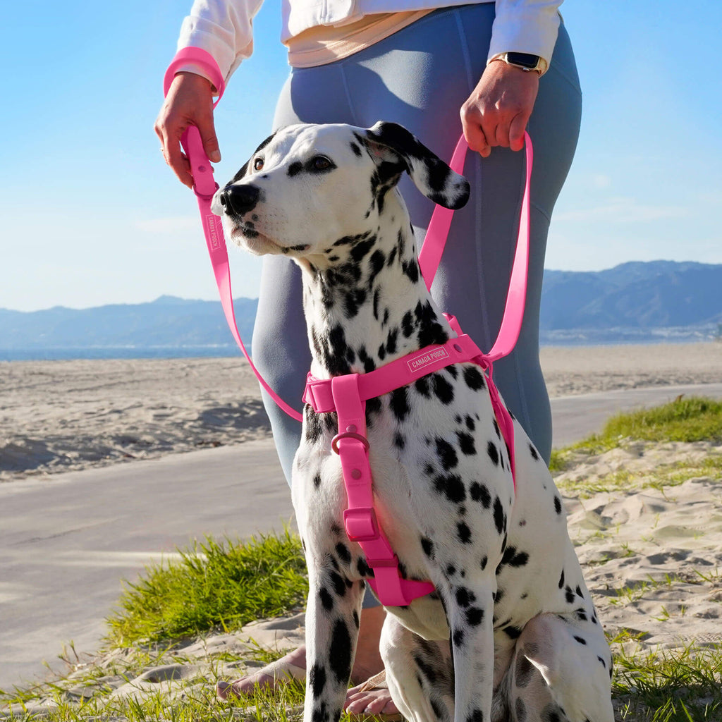 Waterproof Harness - 4IKT