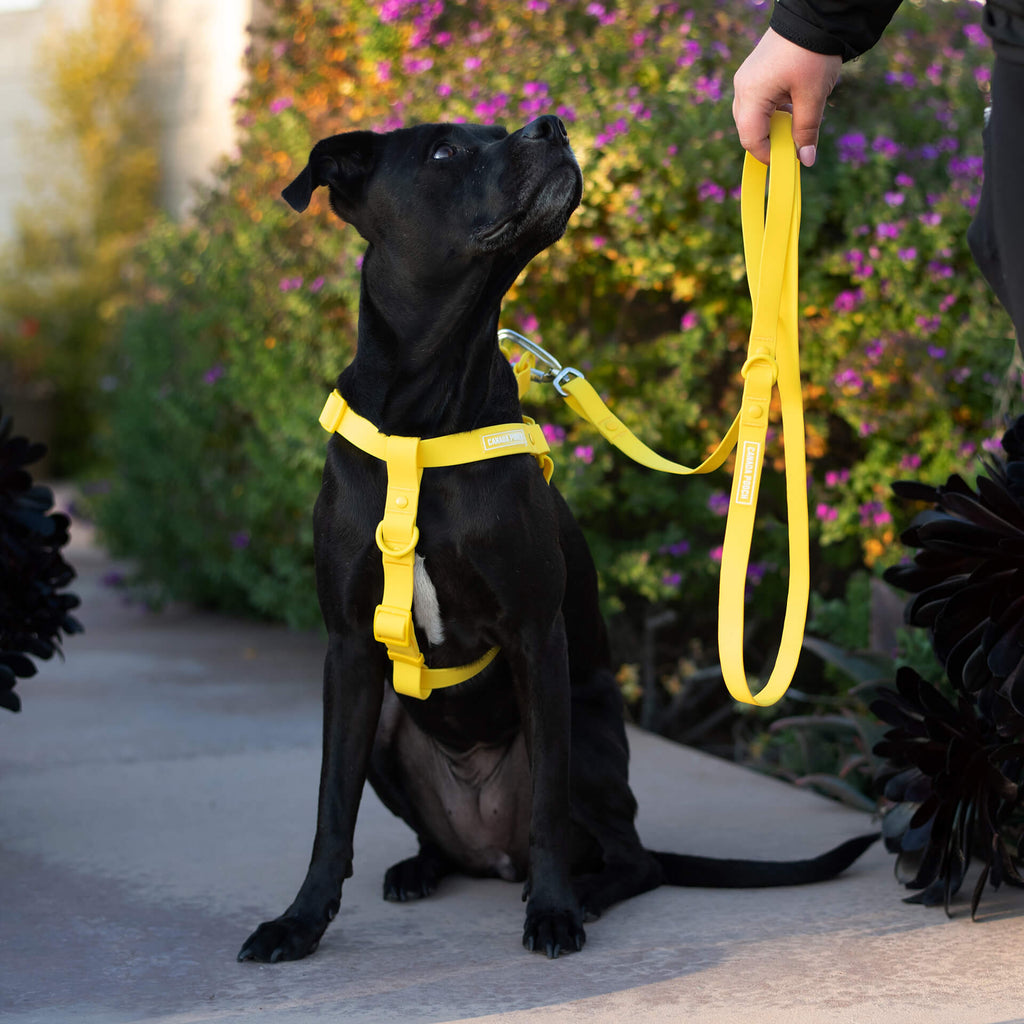 Waterproof Harness - 4IKT