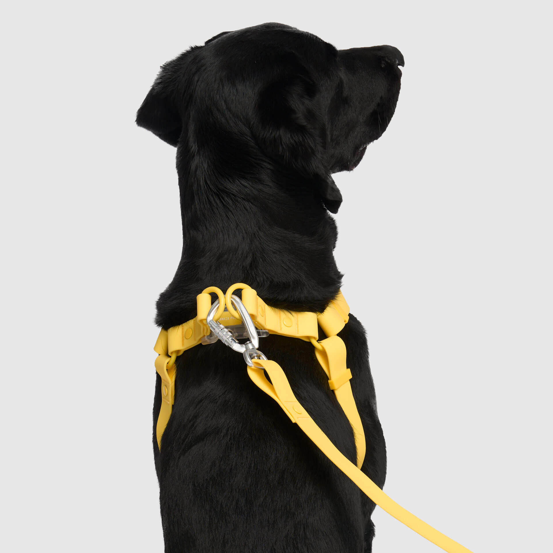 Waterproof Harness - 4IKT
