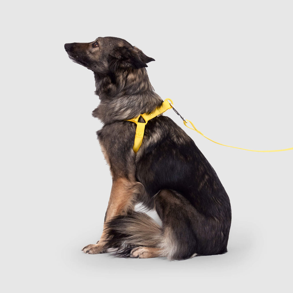 Waterproof Harness - 4IKT