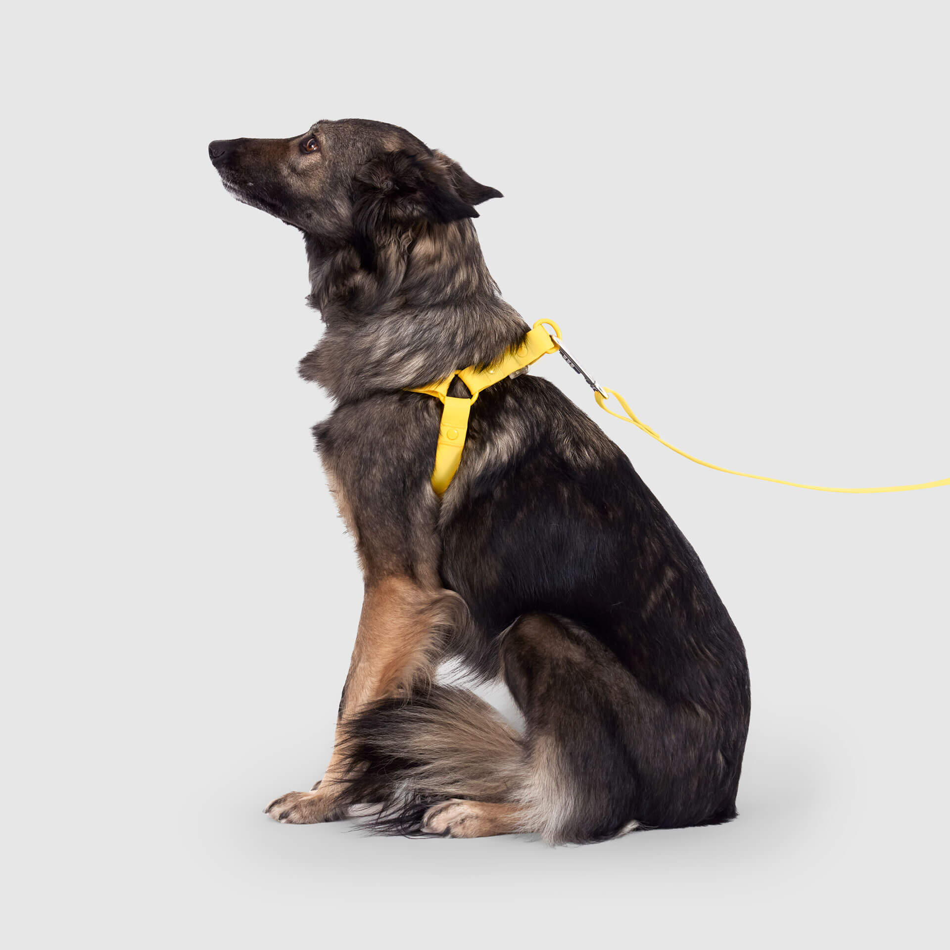 Waterproof Harness - 4IKT