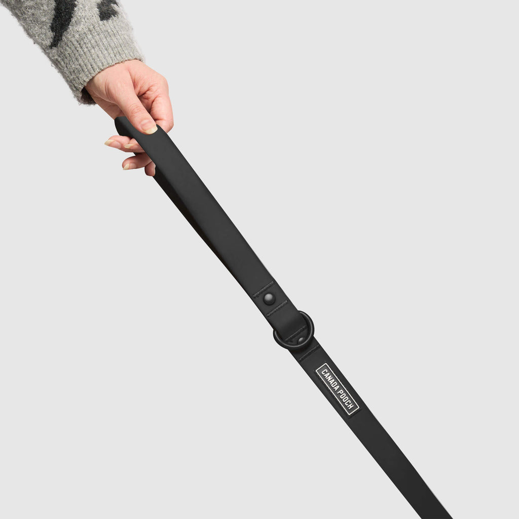 Waterproof Leash - U7AB