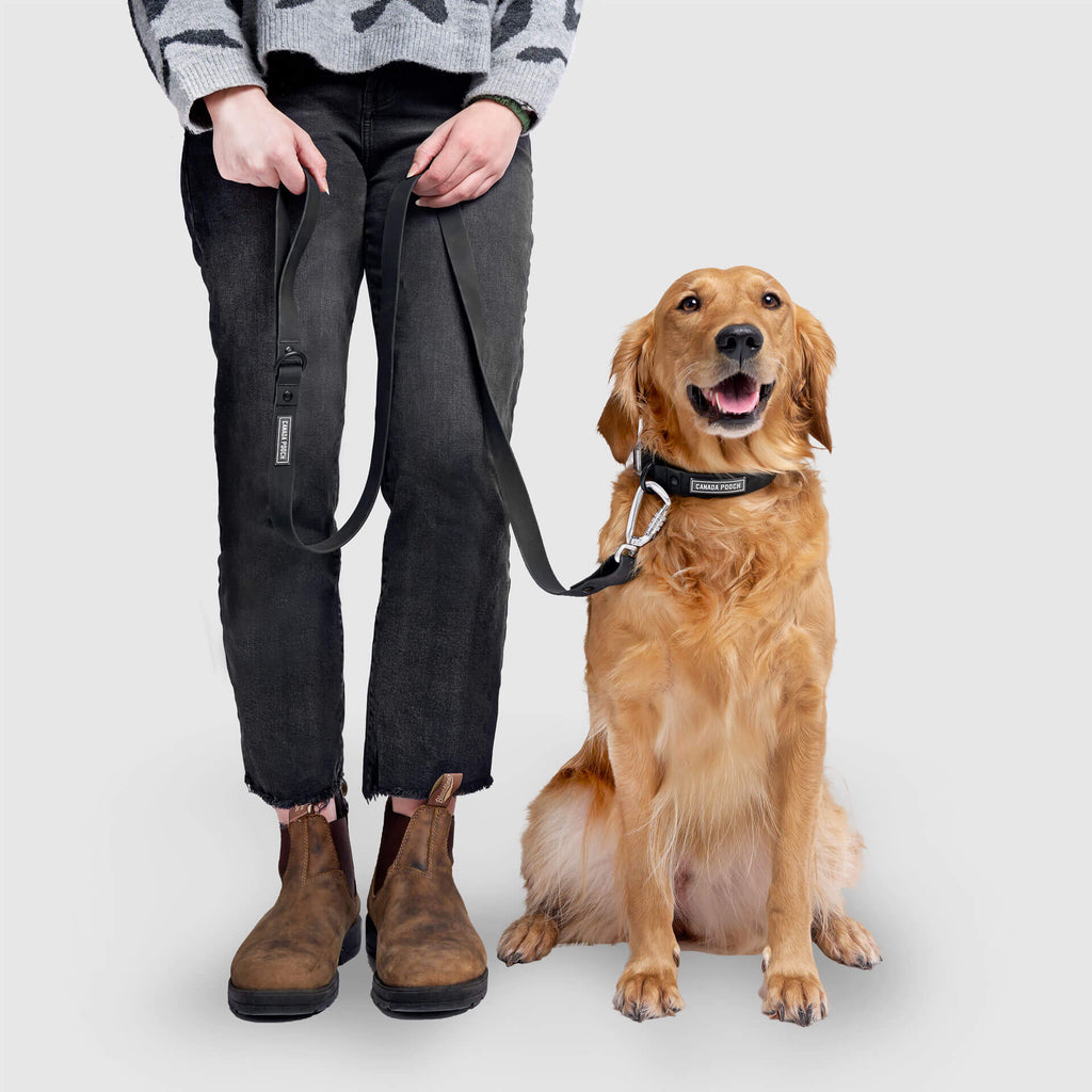 Waterproof Leash - U7AB