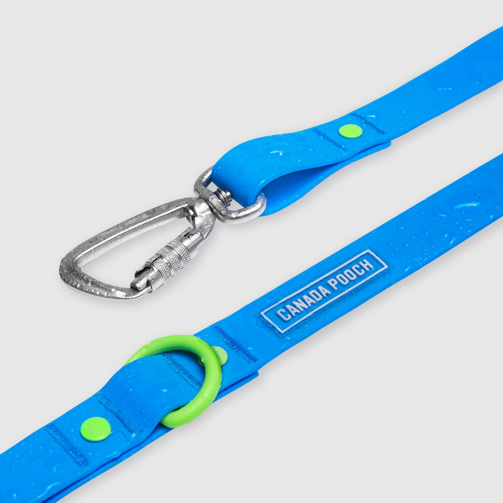 Waterproof Leash - U7AB