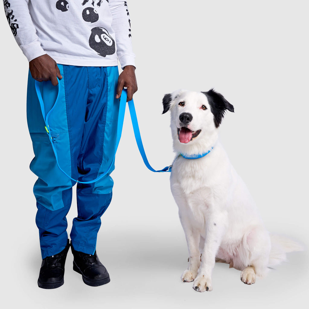 Waterproof Leash - U7AB
