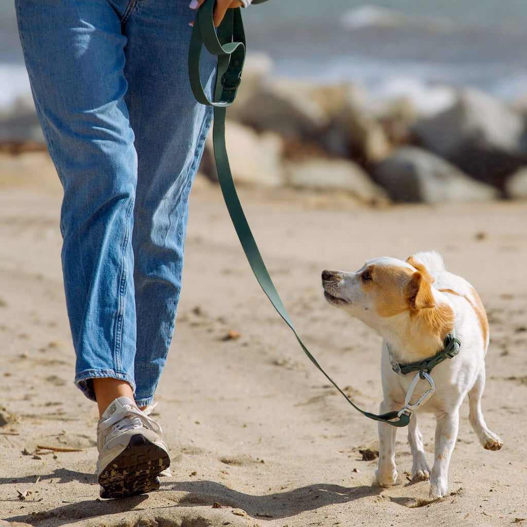 Waterproof Leash - U7AB