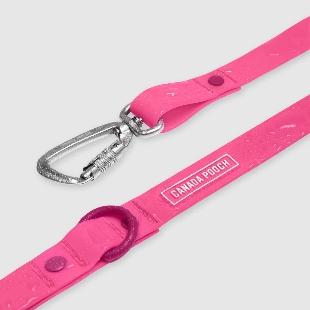 Waterproof Leash - U7AB
