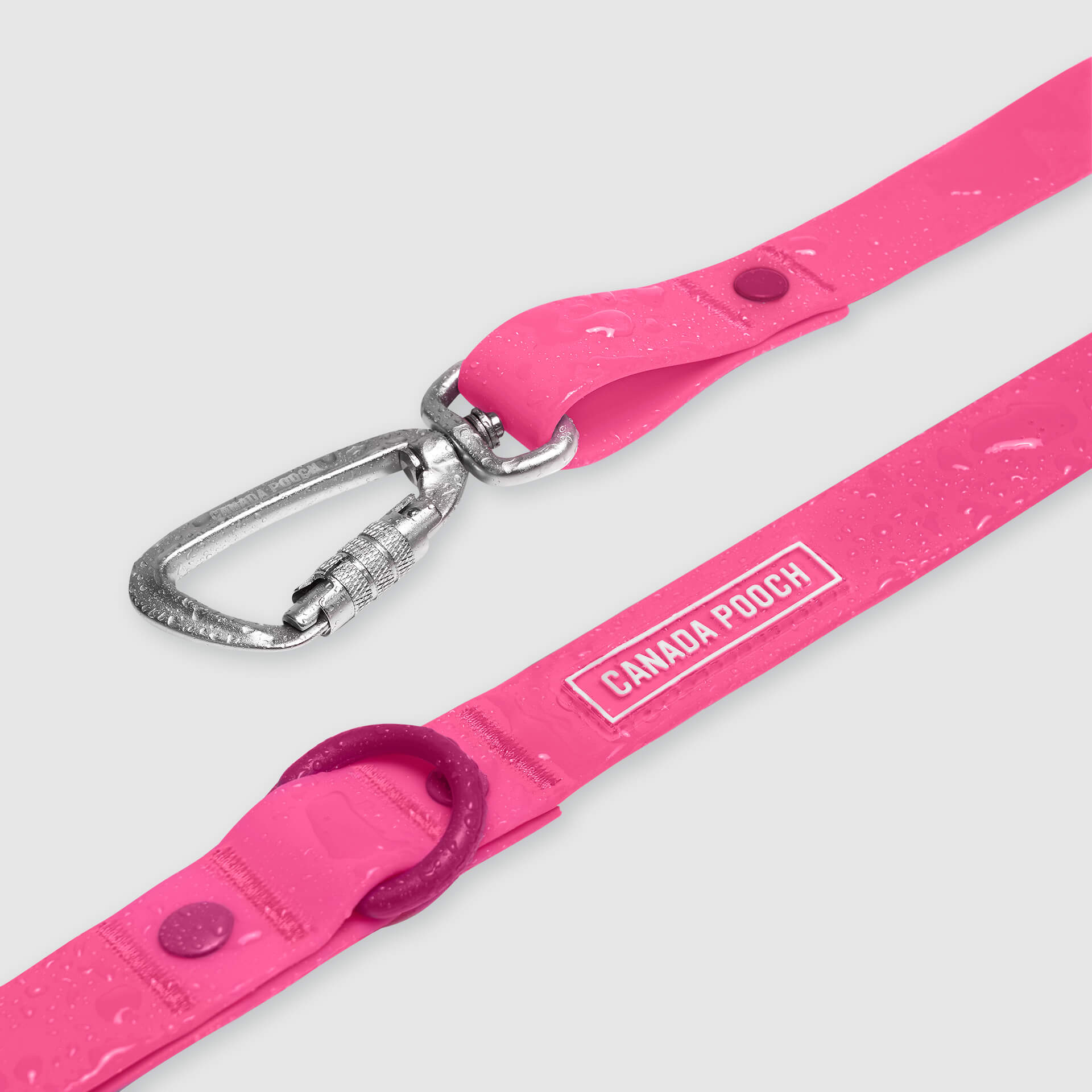 Waterproof Leash - U7AB