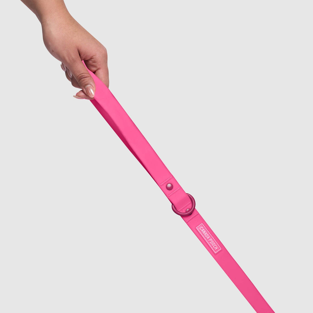 Waterproof Leash - U7AB