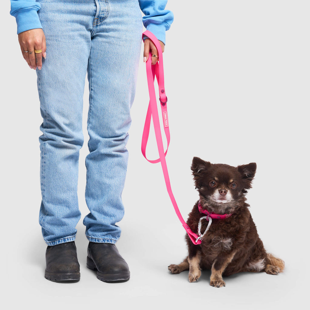 Waterproof Leash - U7AB