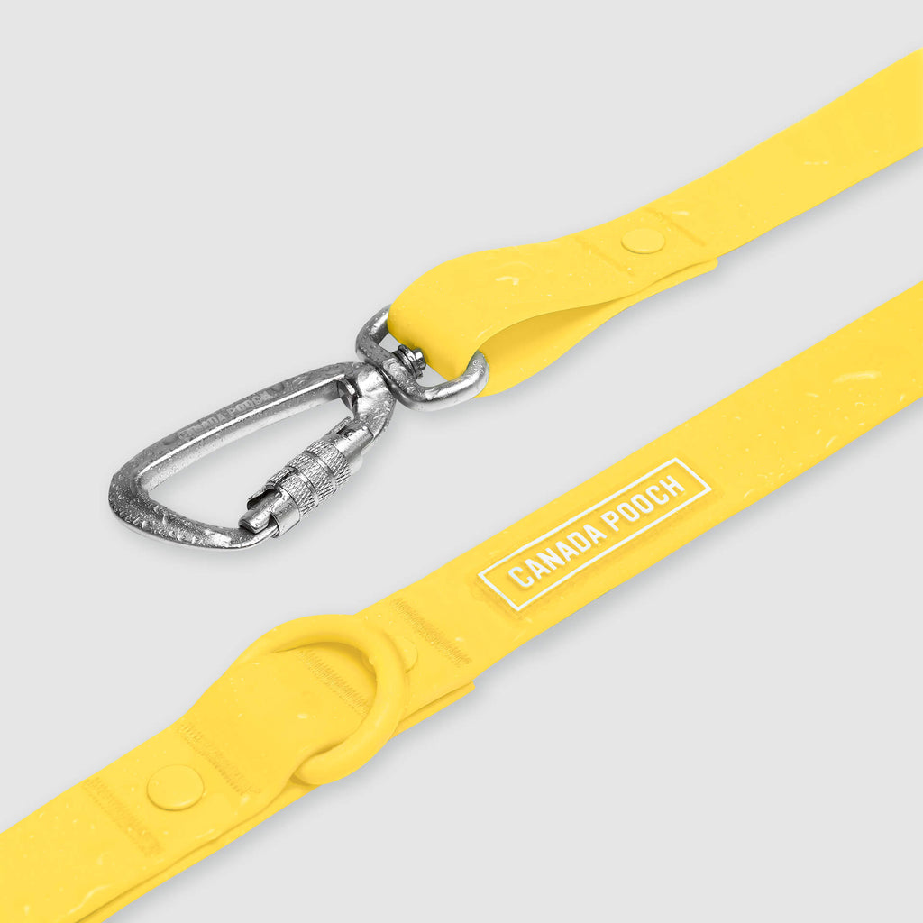 Waterproof Leash - U7AB