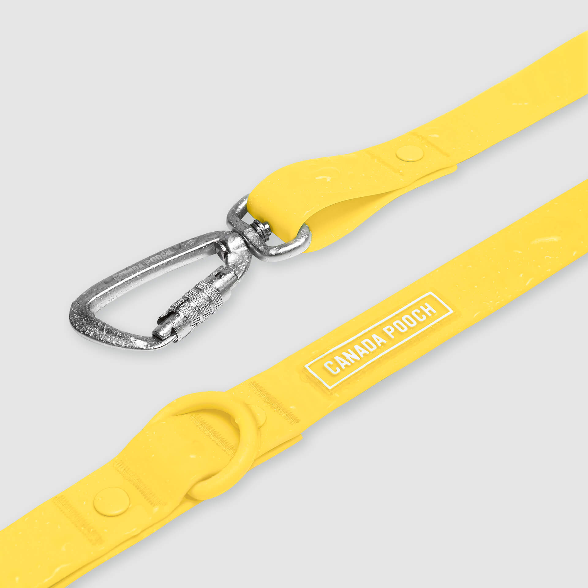 Waterproof Leash - U7AB