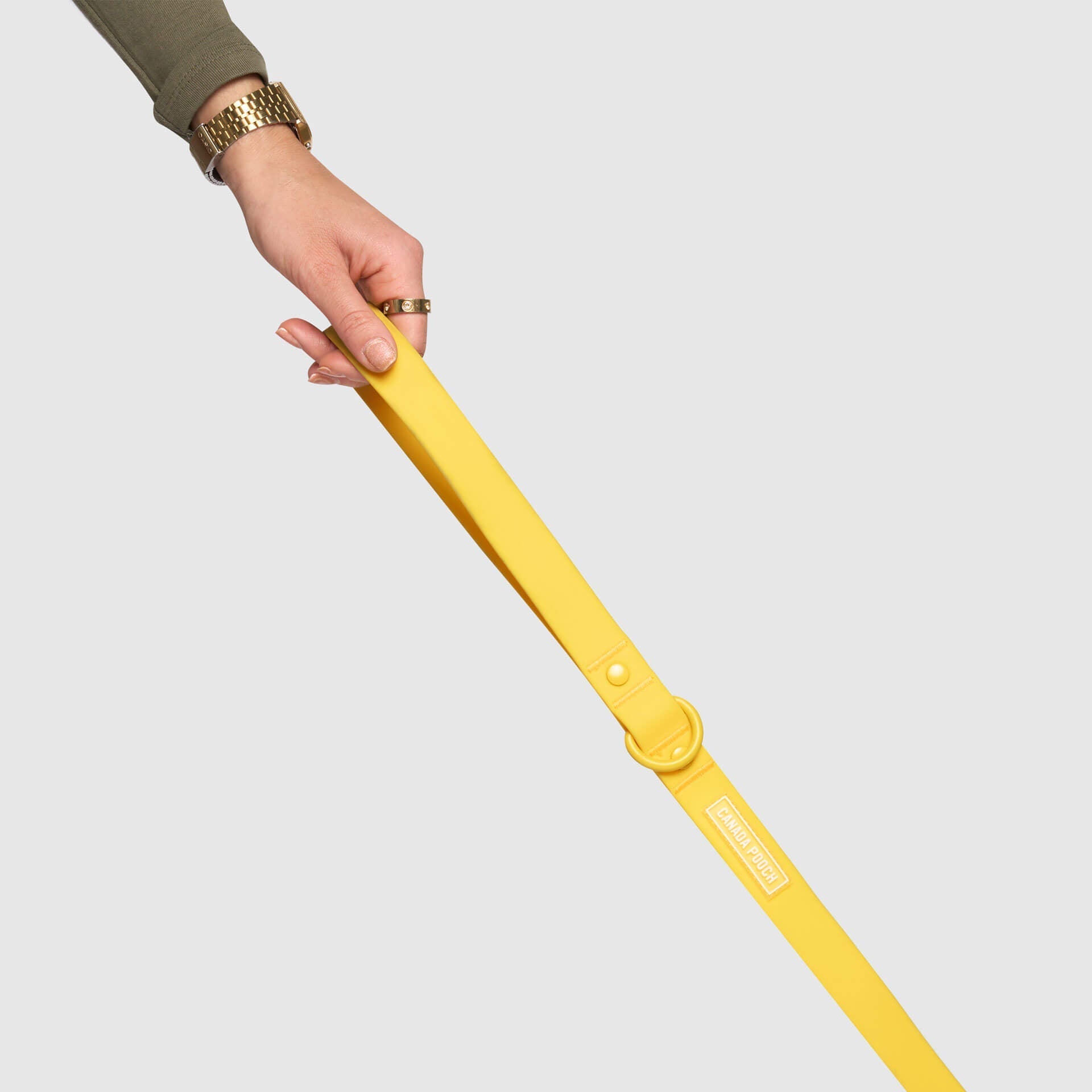 Waterproof Leash - U7AB