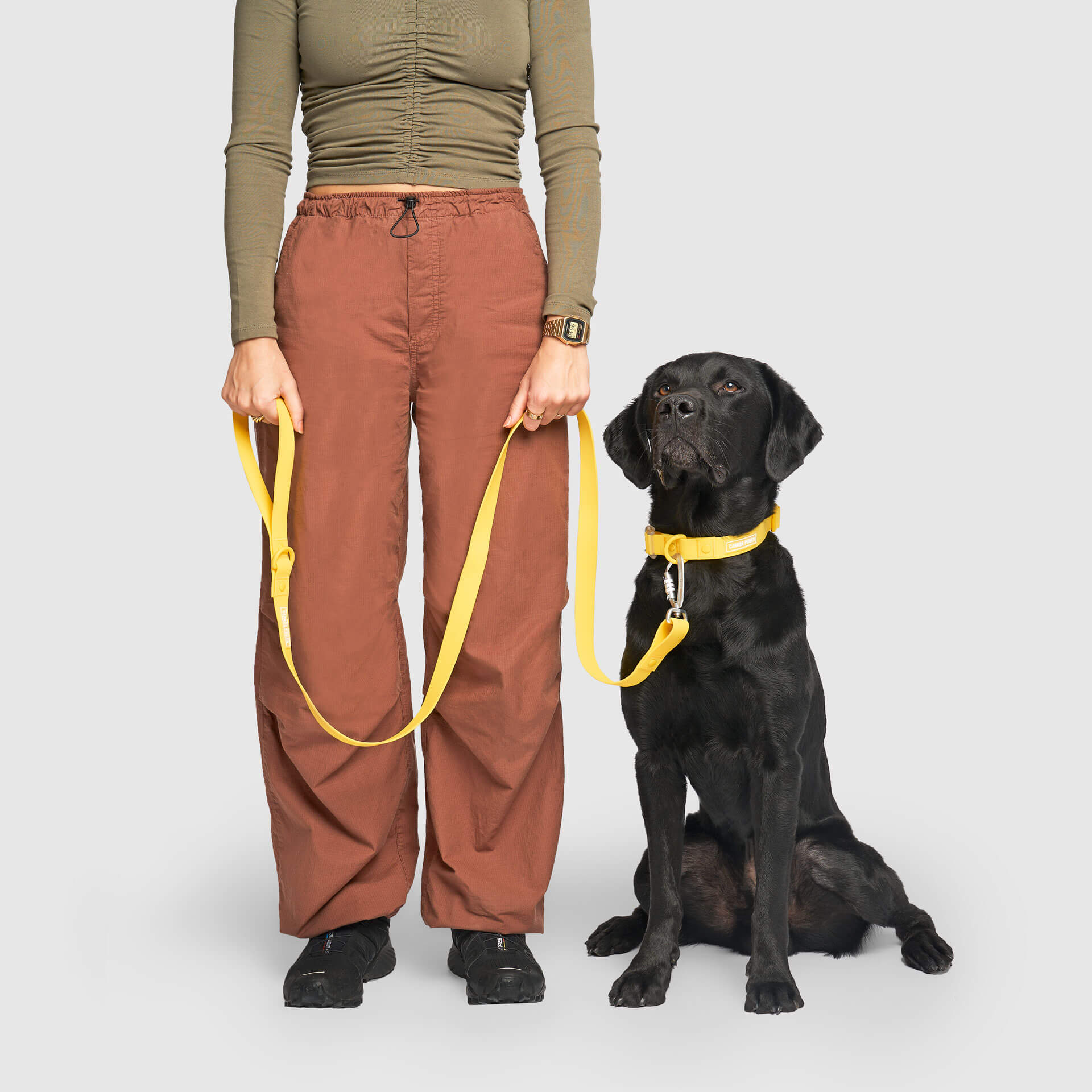 Waterproof Leash - U7AB