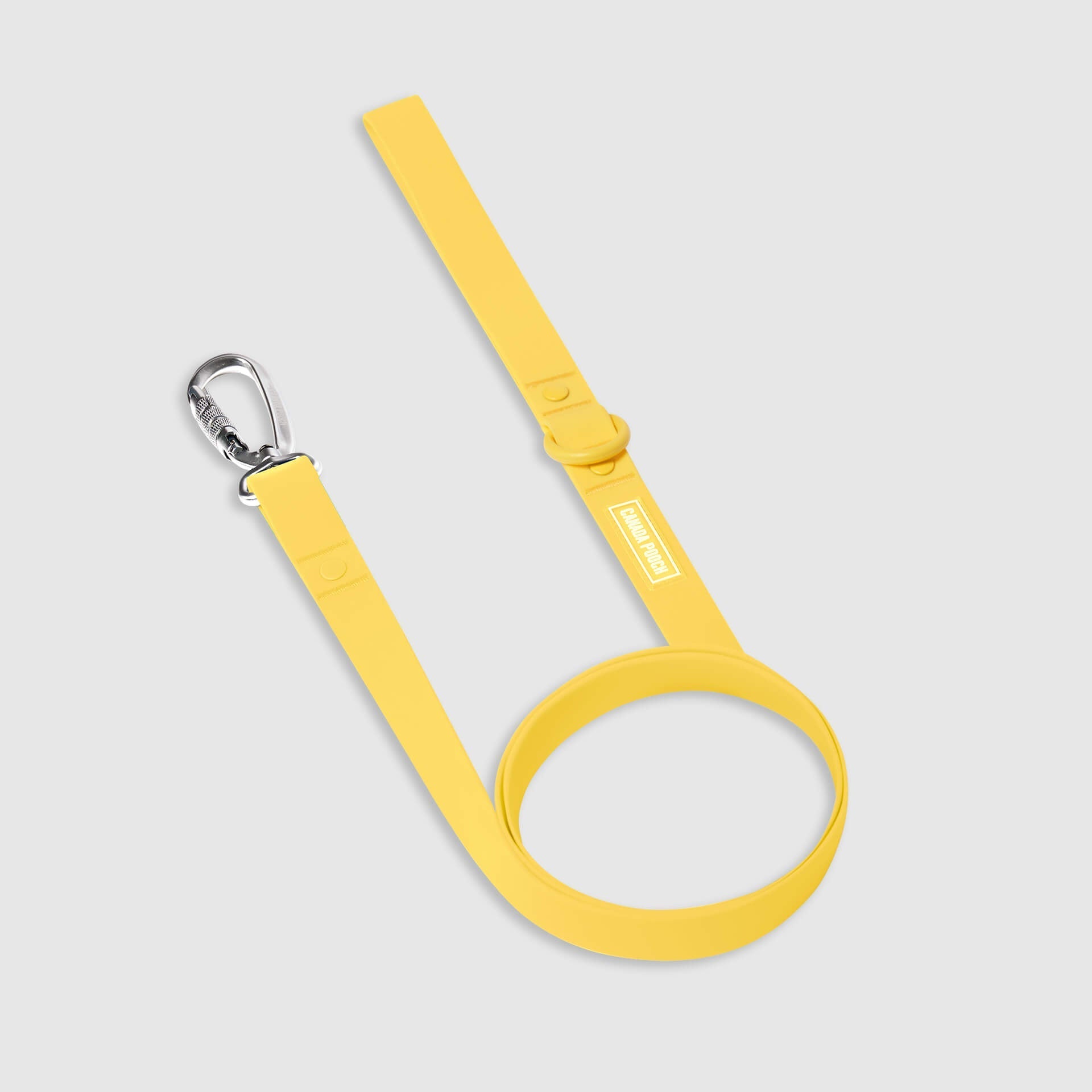 Waterproof Leash - U7AB
