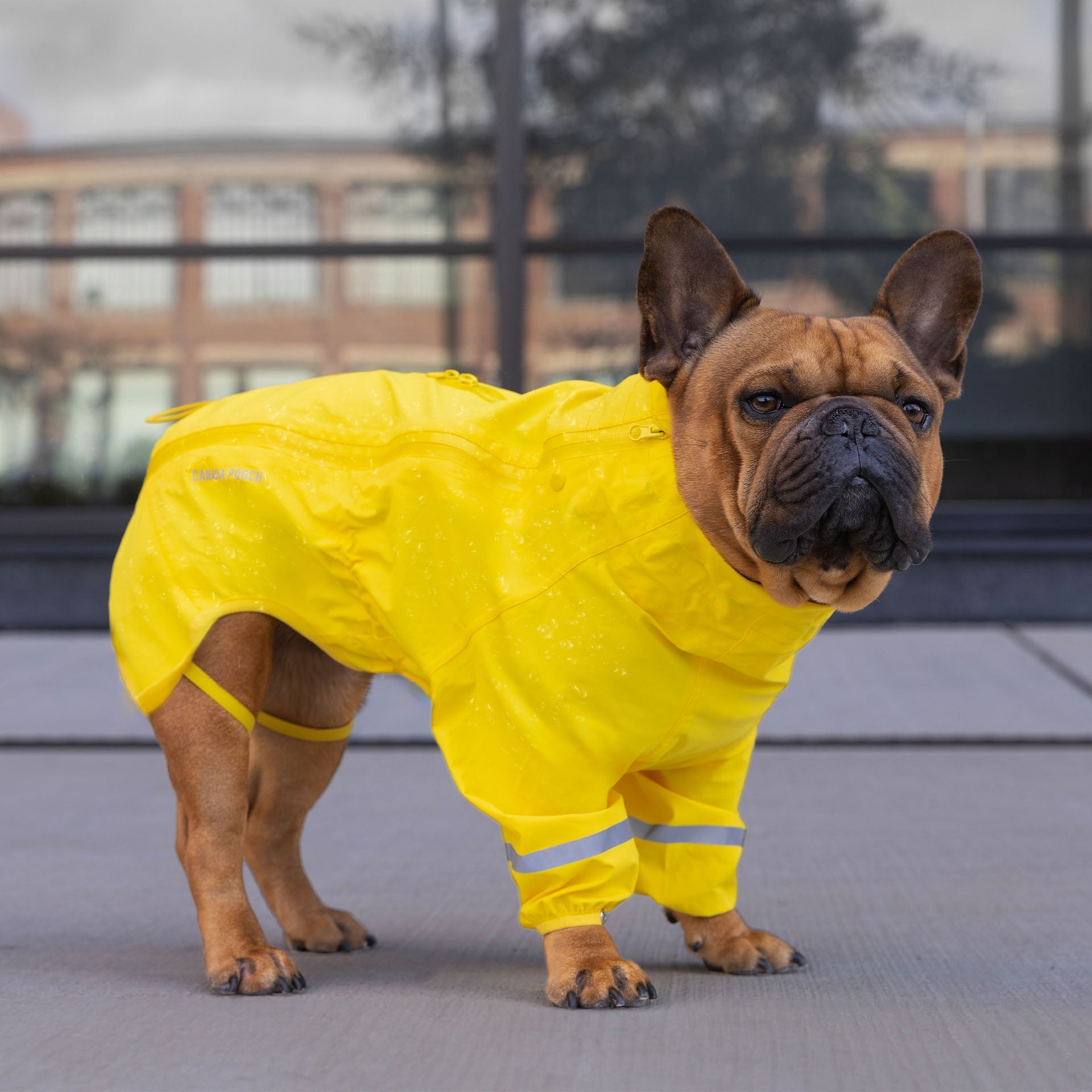 Waterproof Raincoat - H5E0