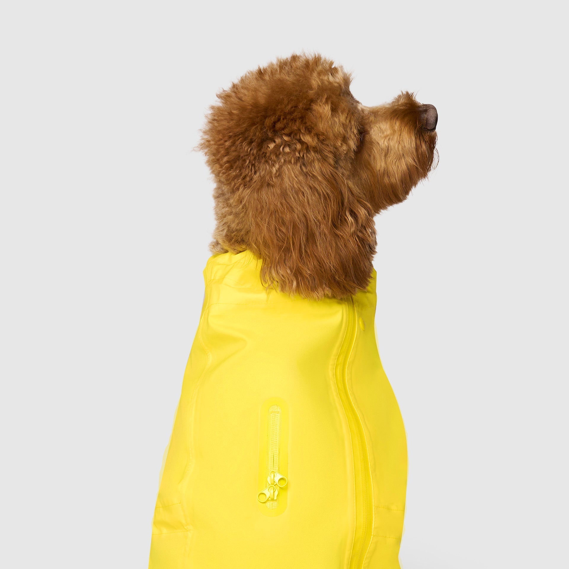 Waterproof Raincoat - H5E0