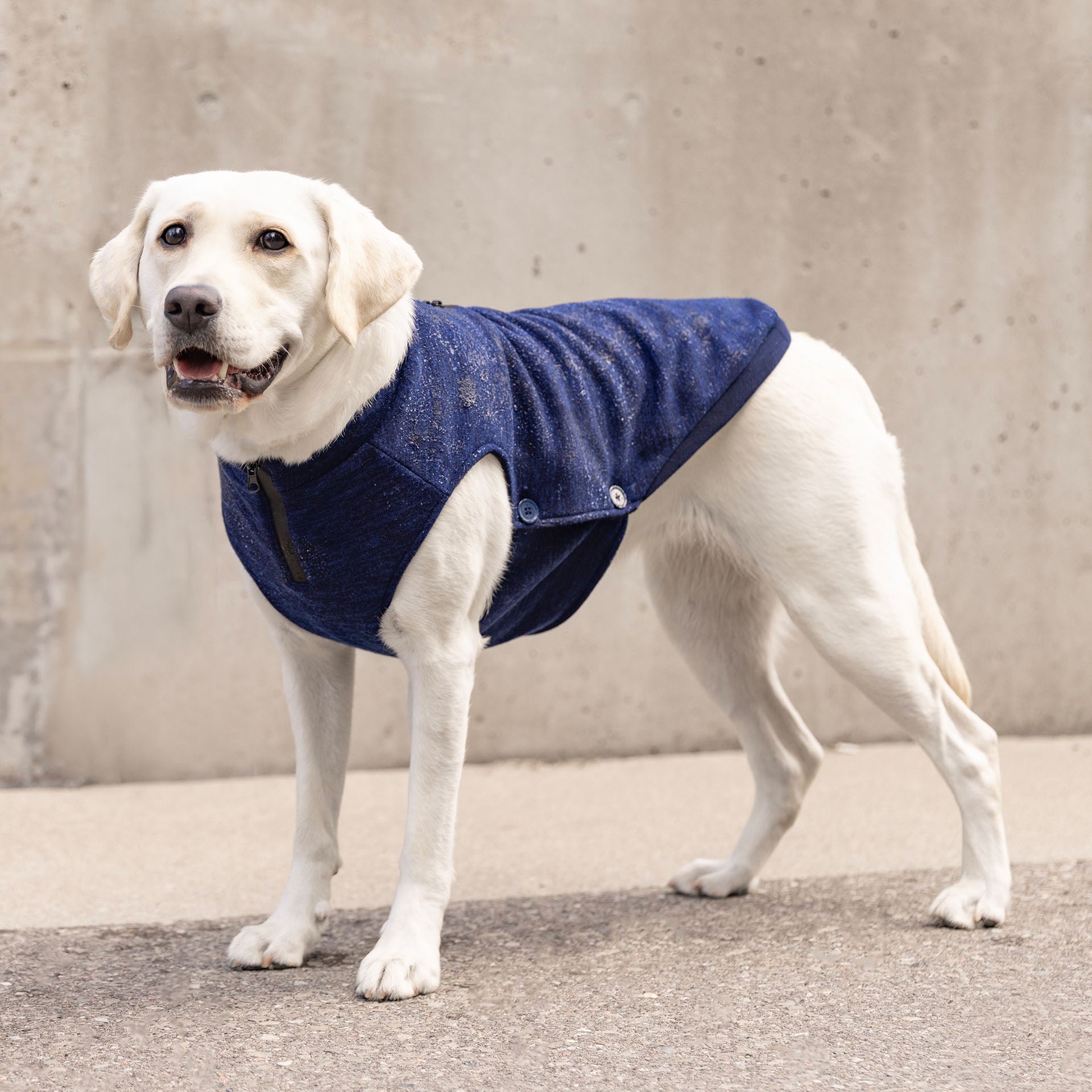 Waterproof Sweater - BVGD