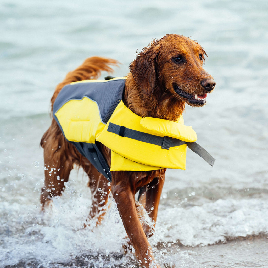 Wave Rider Life Jacket - VQR1