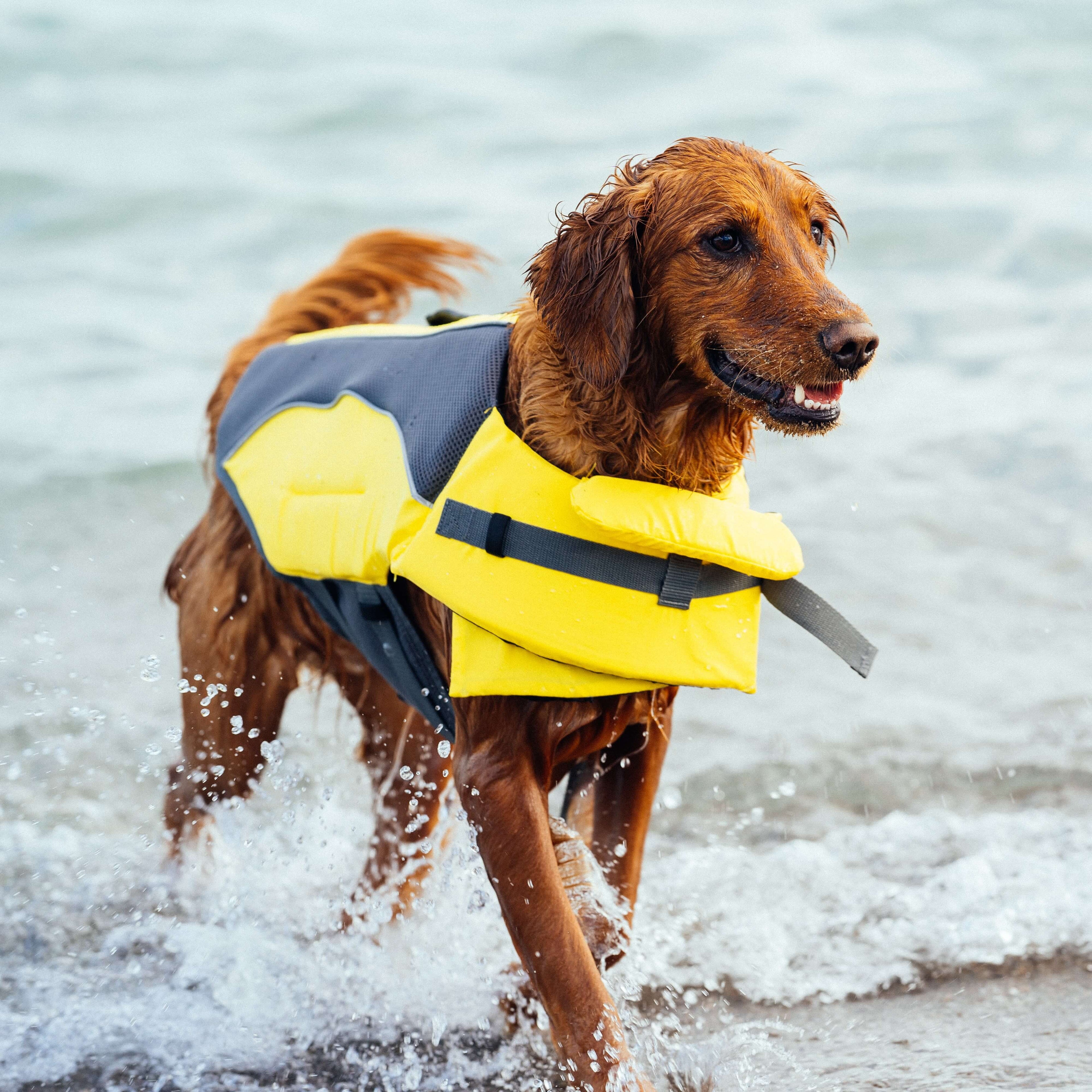 Wave Rider Life Jacket - VQR1