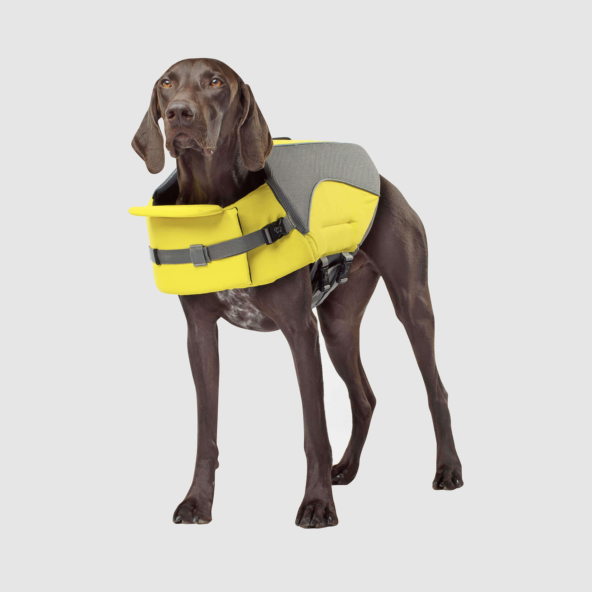 Wave Rider Life Jacket - VQR1