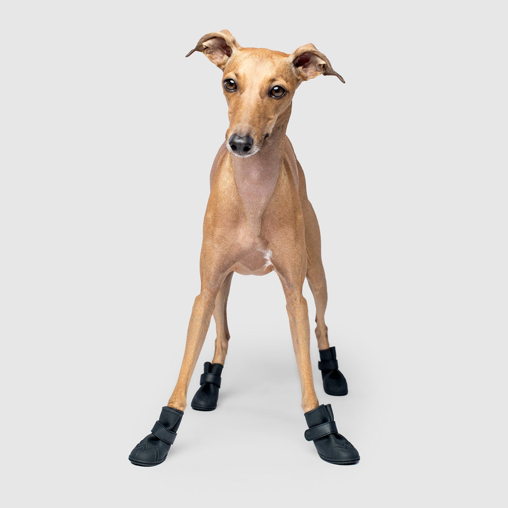 Unlined Wellies - 6YMX