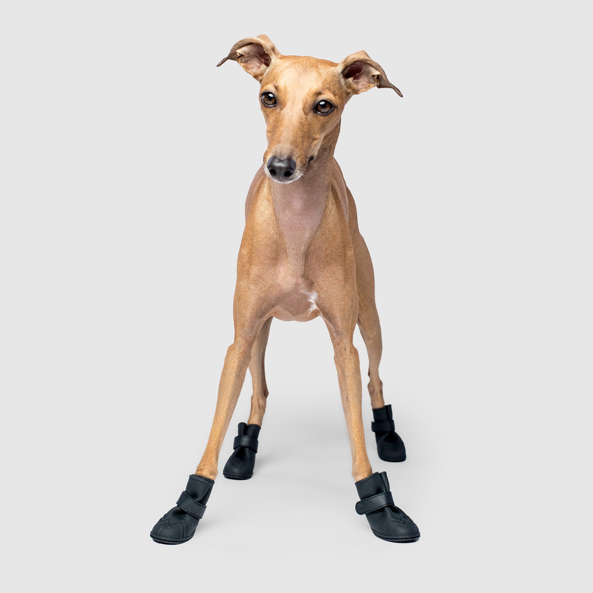 Unlined Wellies - 6YMX