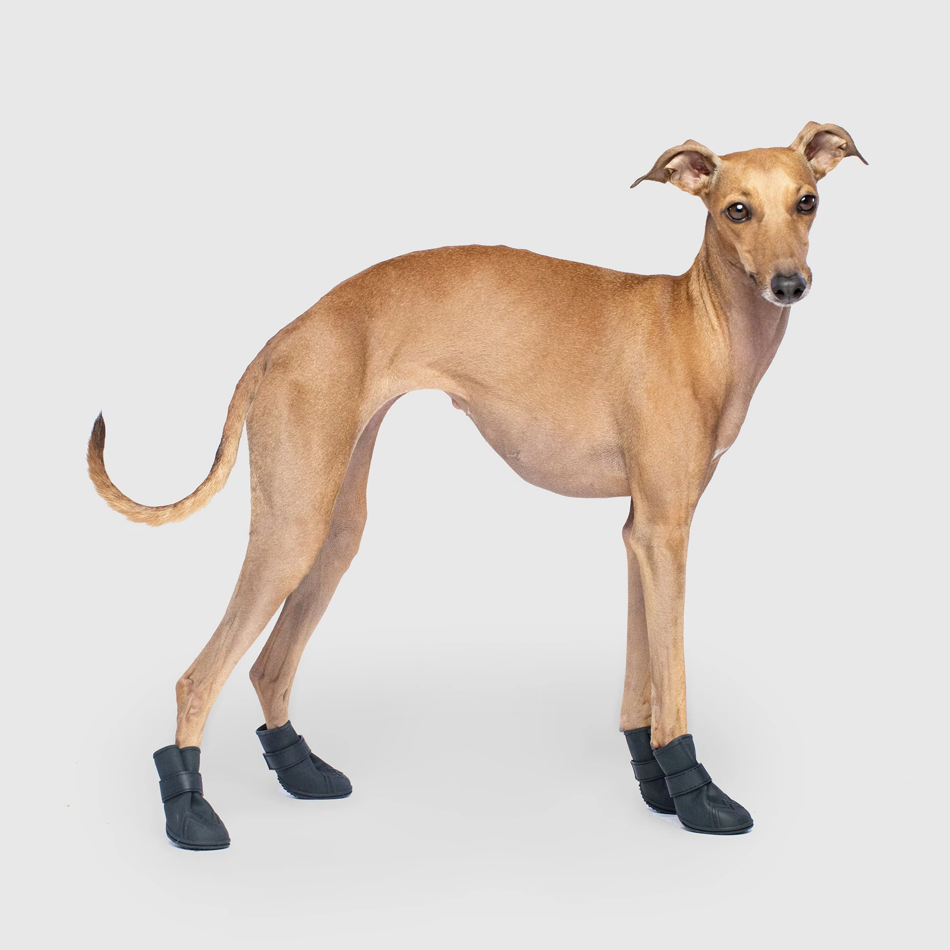 Unlined Wellies - 6YMX