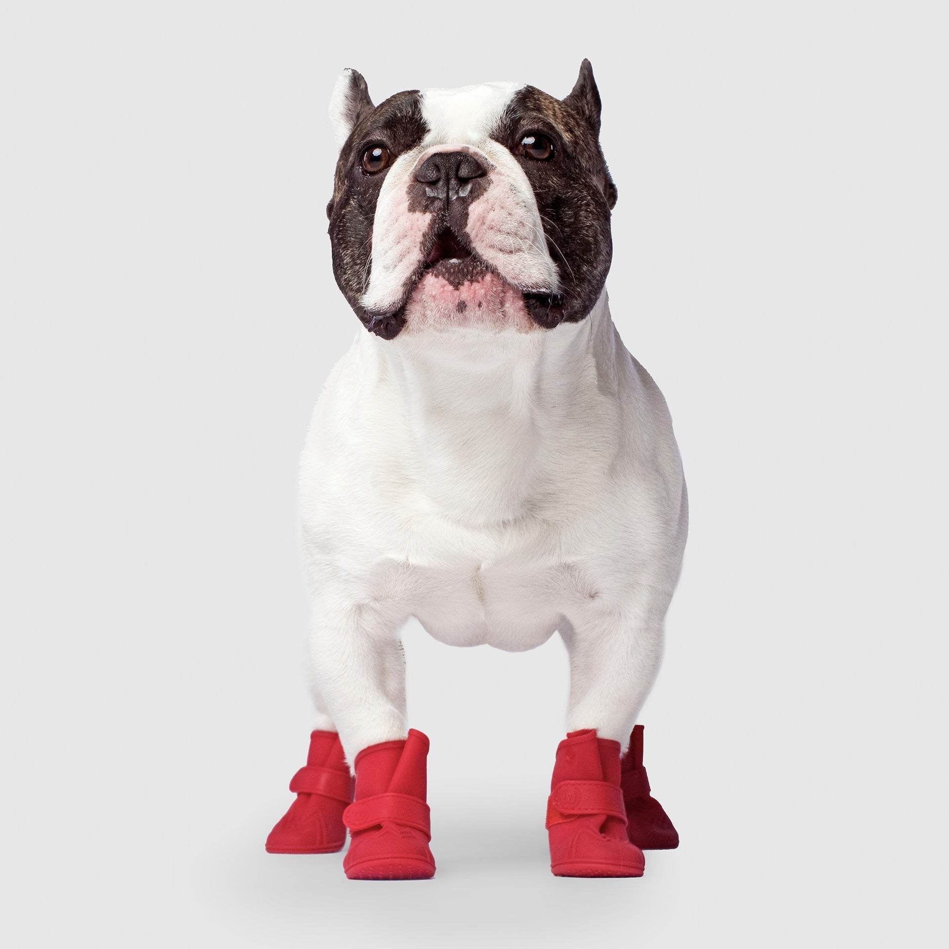 Unlined Wellies - 6YMX