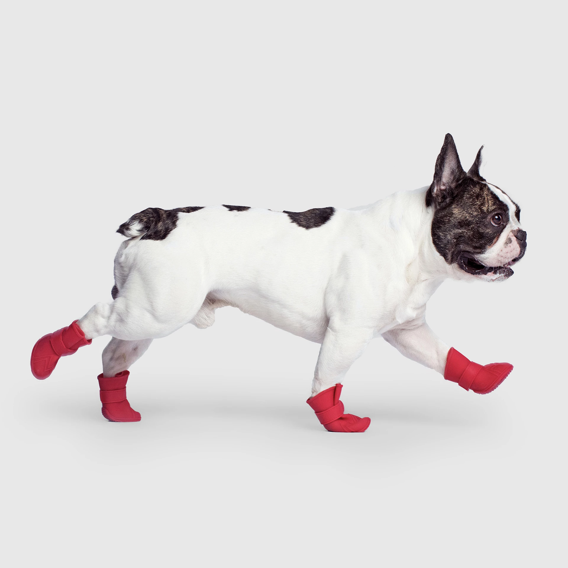 Unlined Wellies - 6YMX