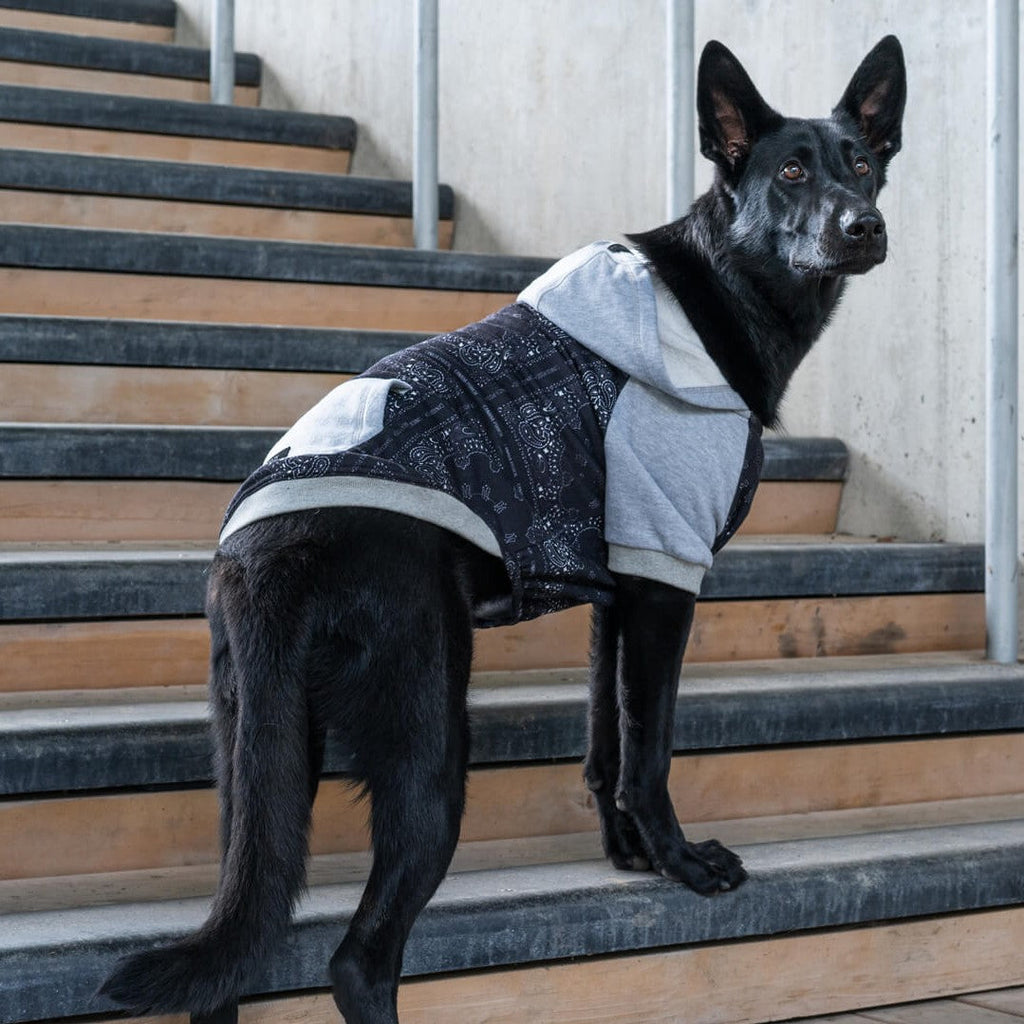 Whatever The Weather Hoodie - KC9L