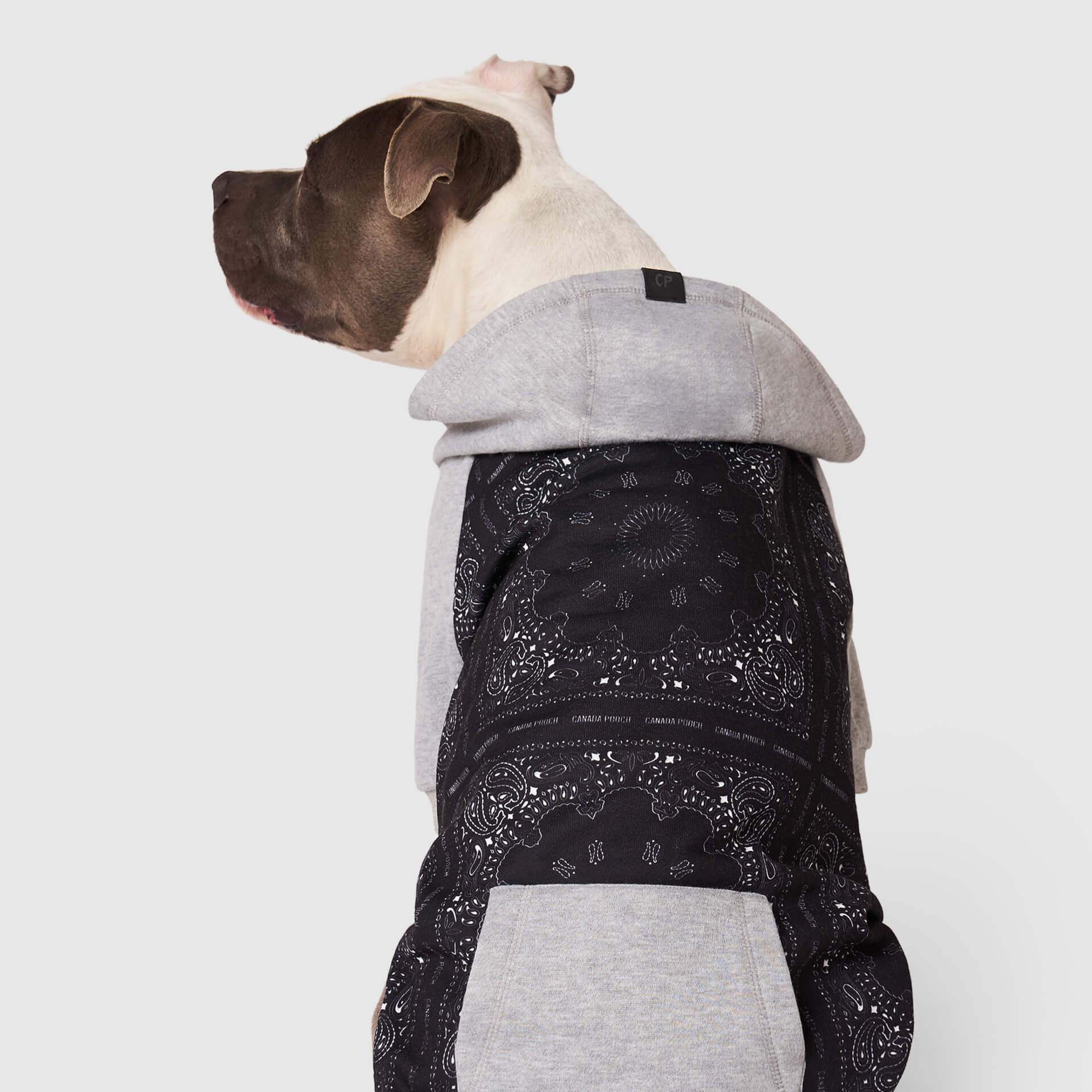 Whatever The Weather Hoodie - KC9L