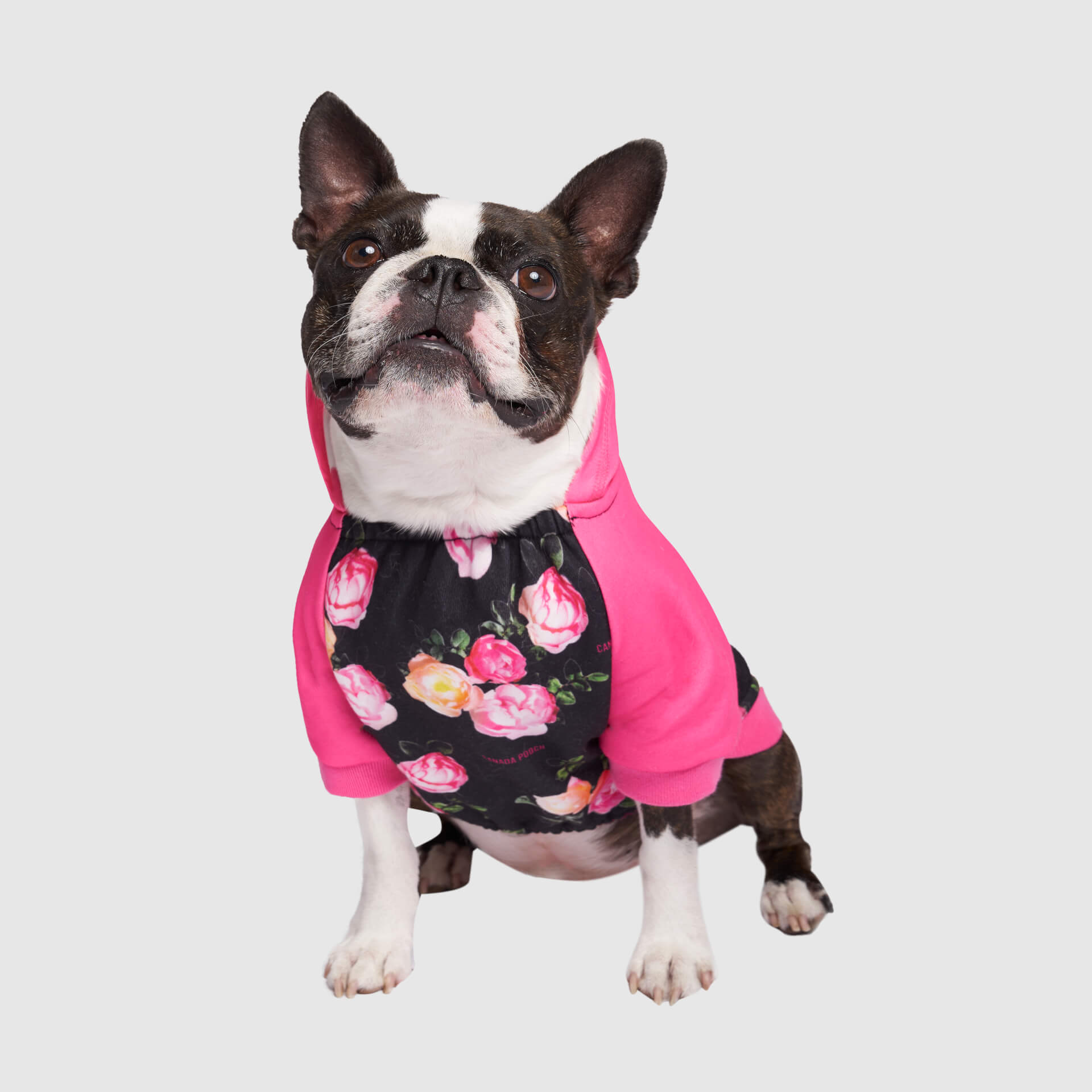 Whatever The Weather Hoodie - KC9L
