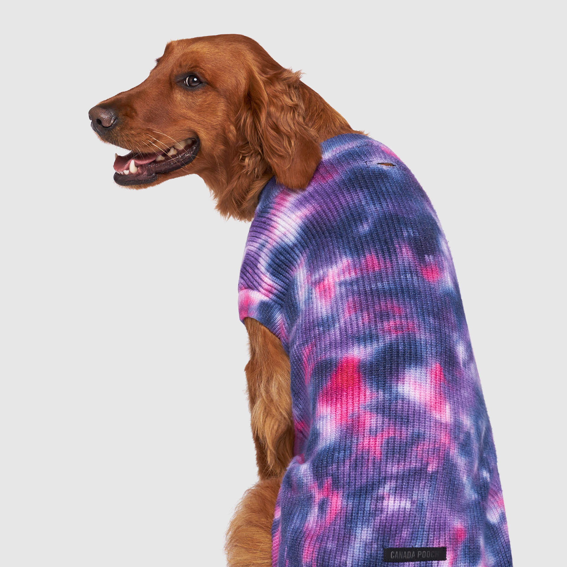 Wild Side Sweater - XU96