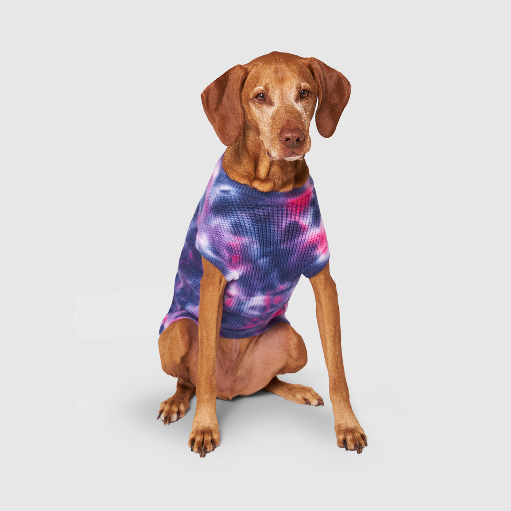 Wild Side Sweater - XU96